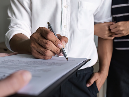 family court expert witness