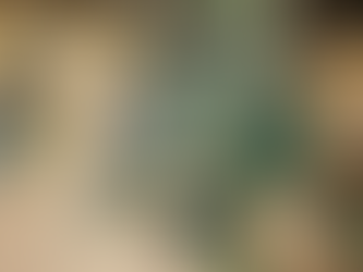 Scottsdale Recycling