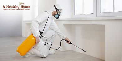 DC insect control services.jpg
