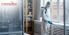 The Unseen Battle Keeping Your Home Safe from Pests.png