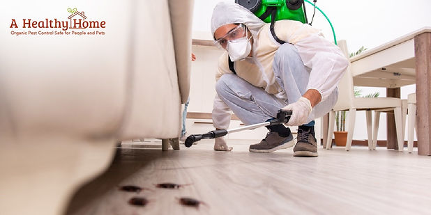 residential pest control in Northern VA.jpg