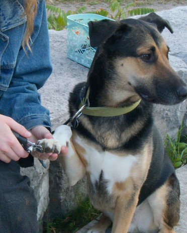 Screenshot 2025-11-12 141844_edited.jpg