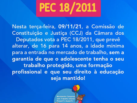 PEC 18/2011