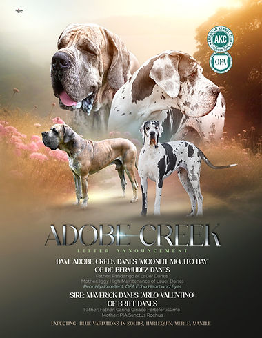 Litter Ad (1).jpg