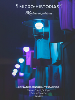 MICRO HISTORIAS