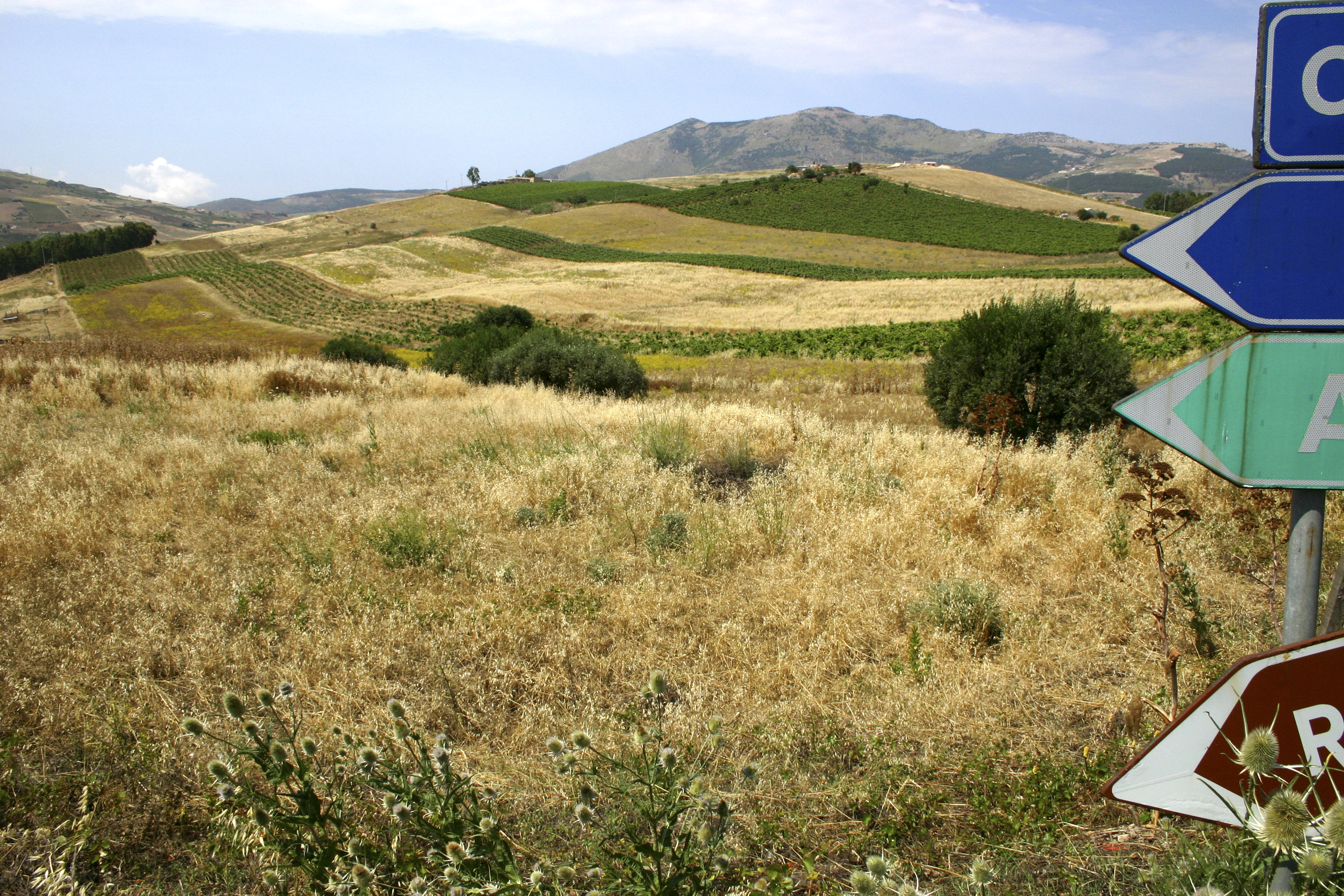 Fields, Segesta, Sicily