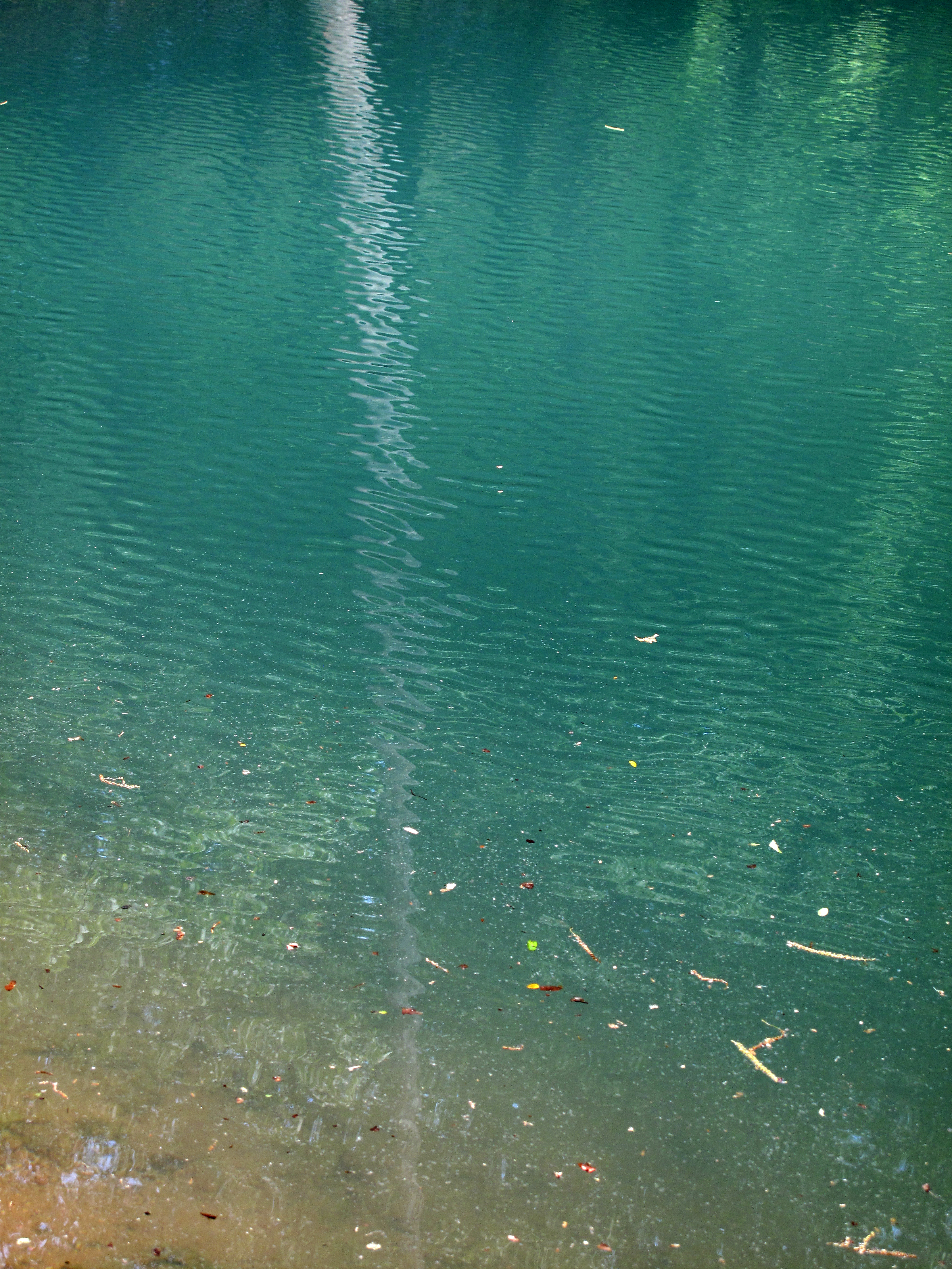 Pole reflection, Crystal Bridges