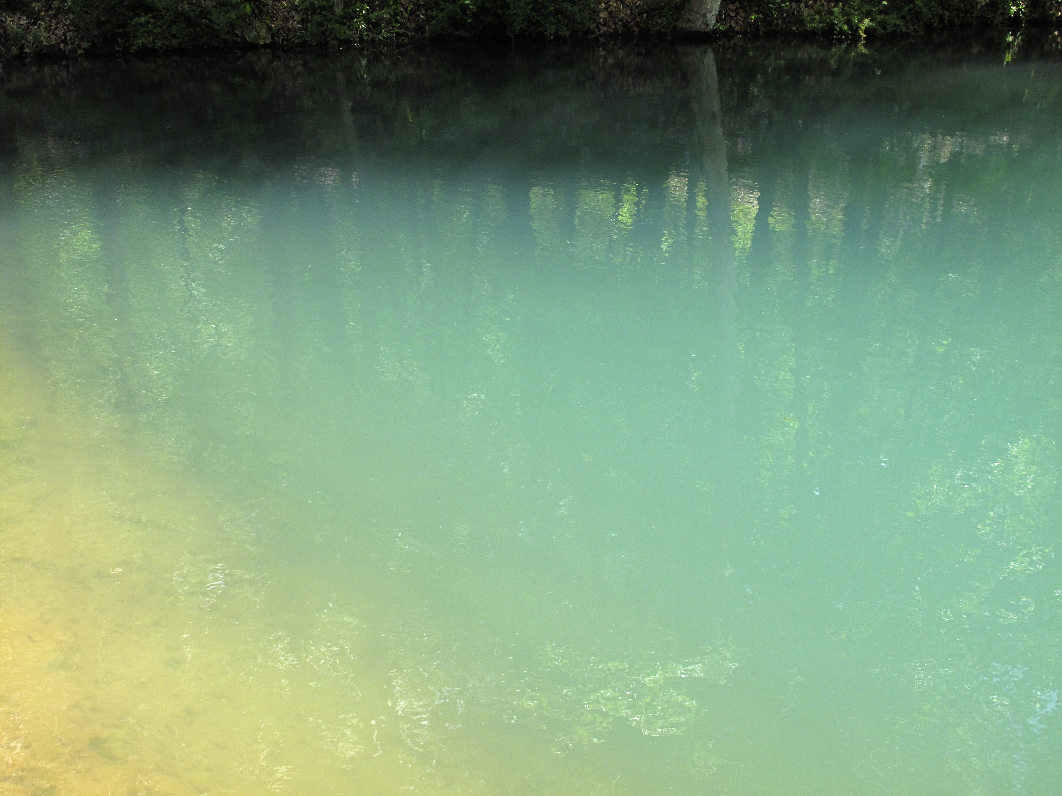 Pond, Crystal Bridges