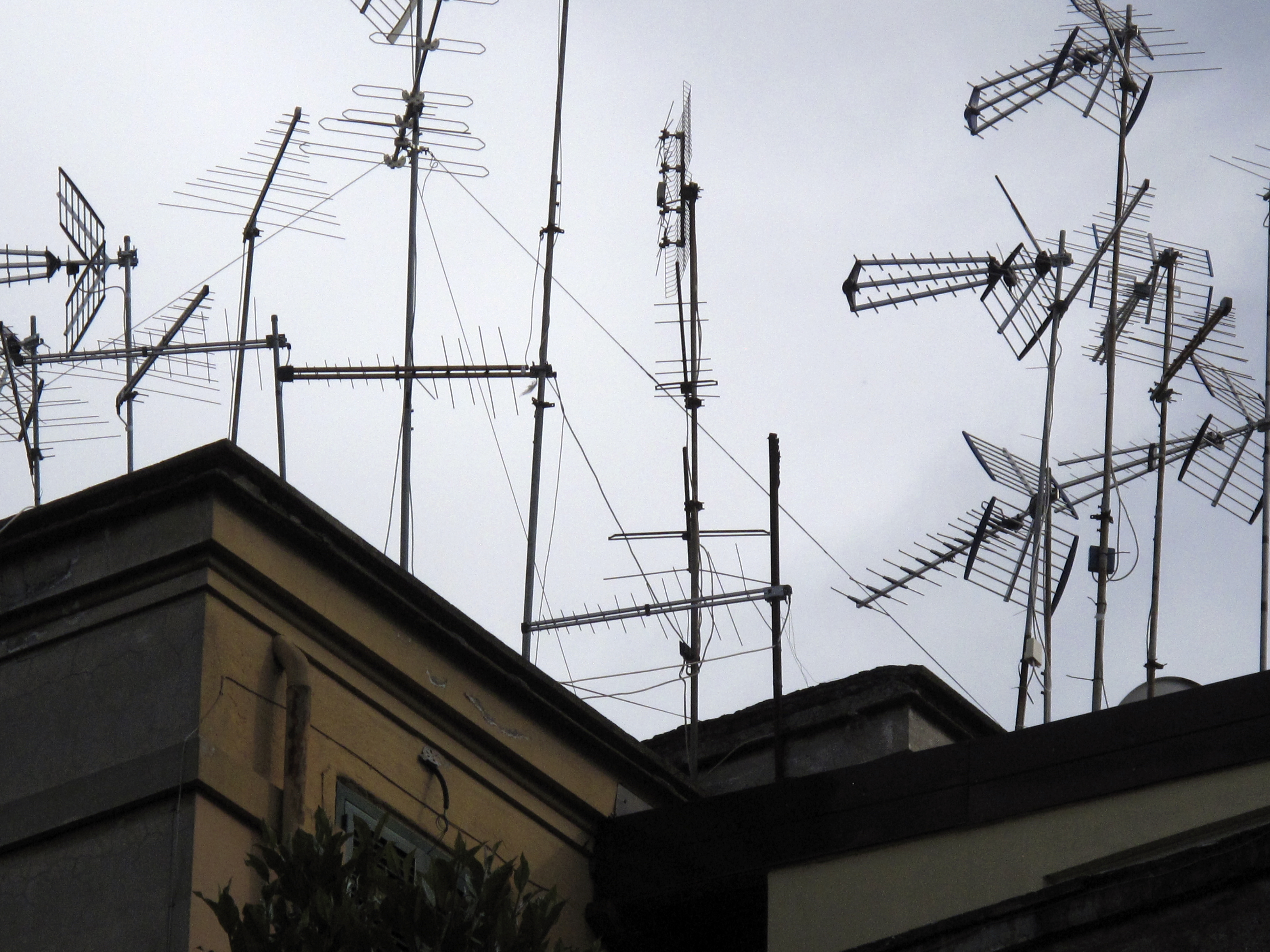 Roof top, Rome, Italy