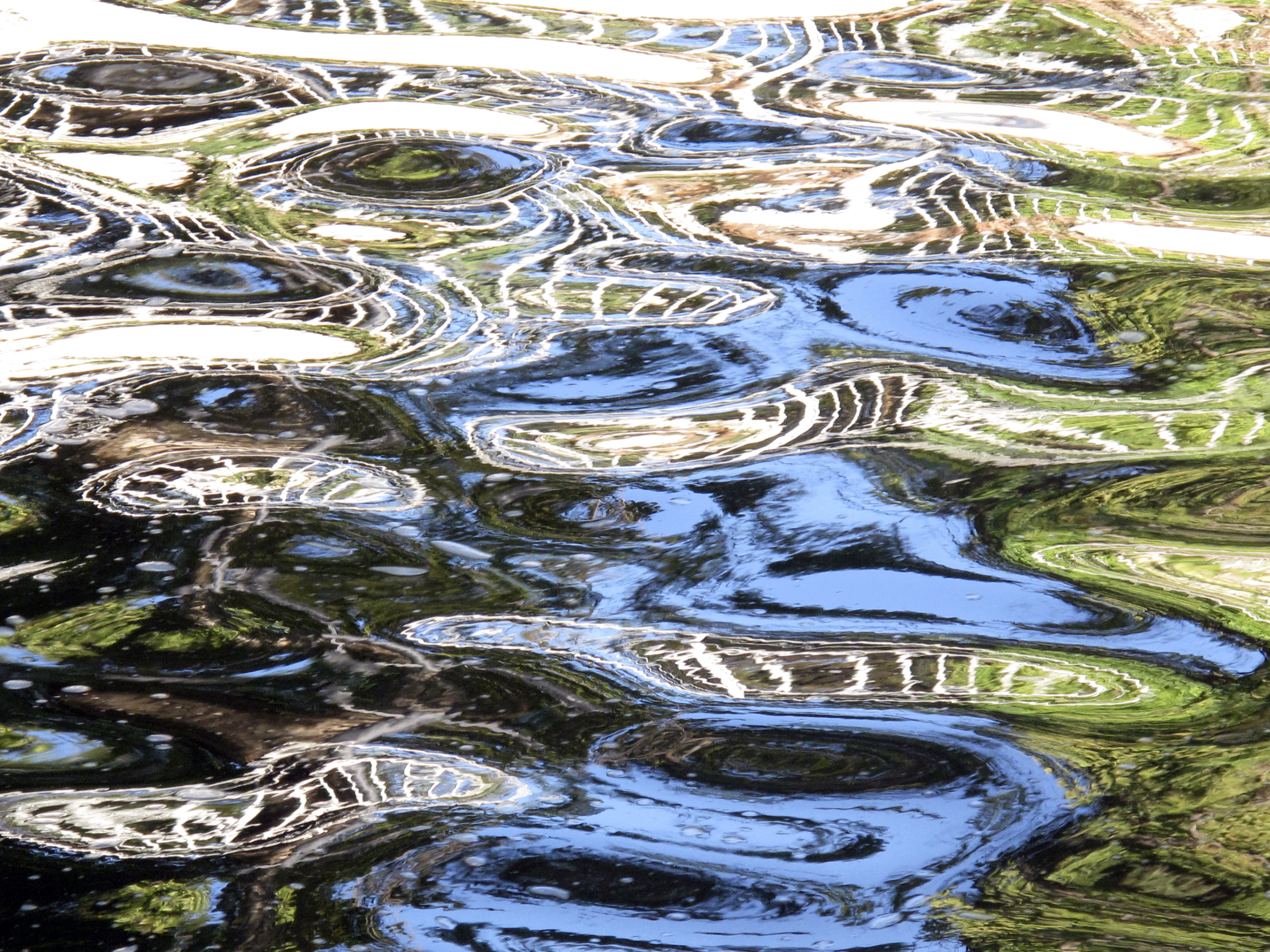Reflections, San Antonio, TX