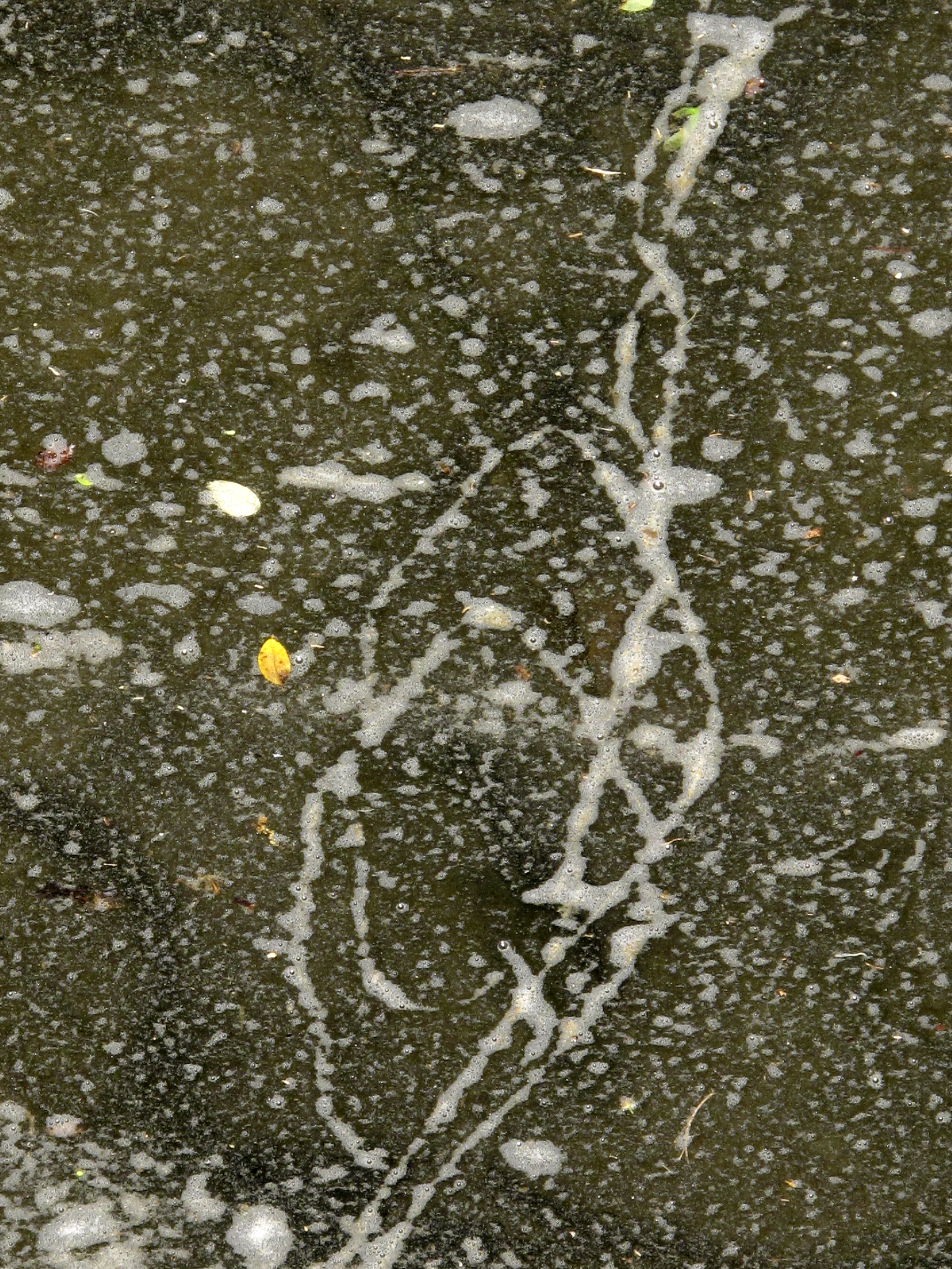 Lines, Crystal Bridges, Arkansas