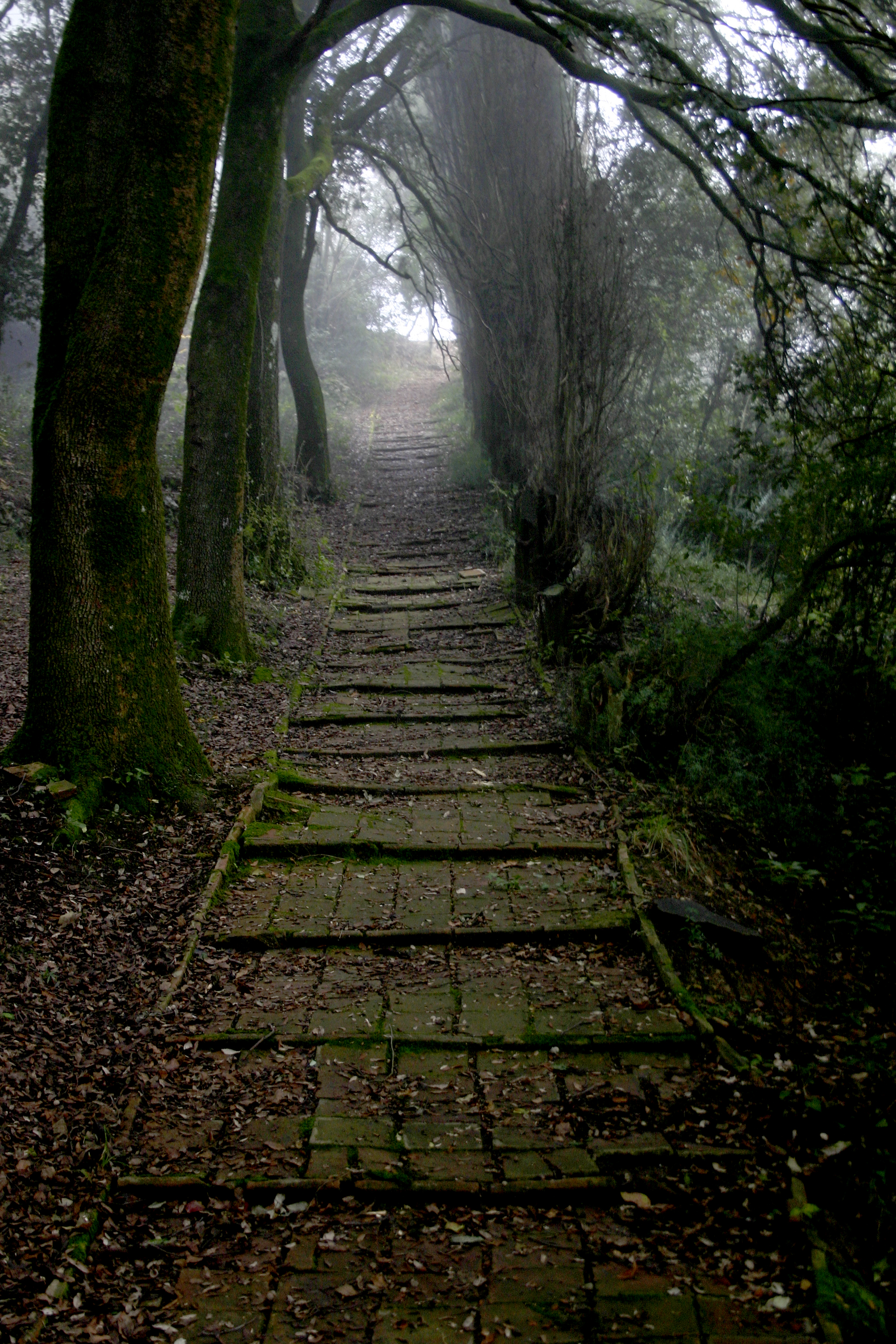 Steps, Corciano, Italy