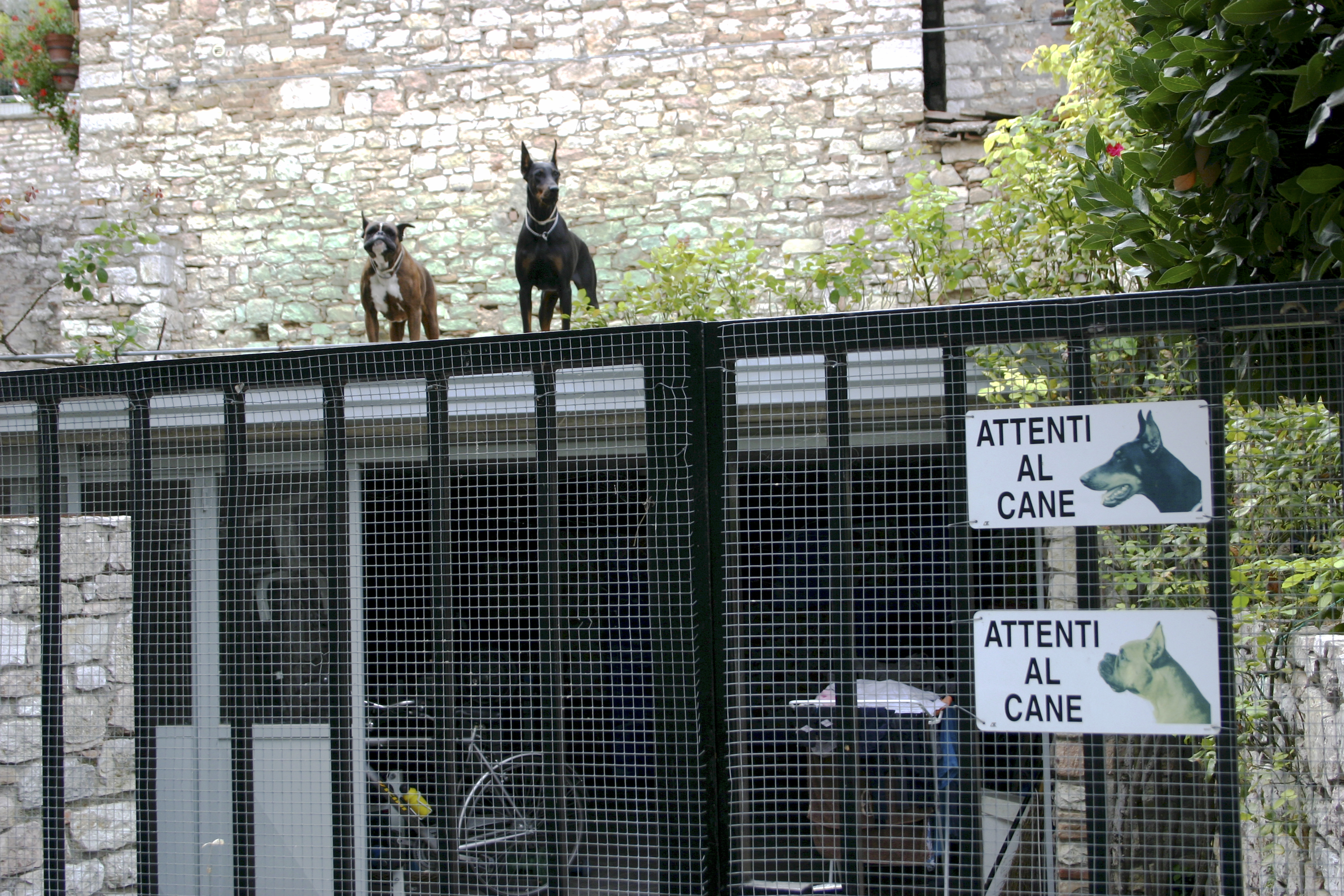 Attenti al Cane, Corciano, Italy
