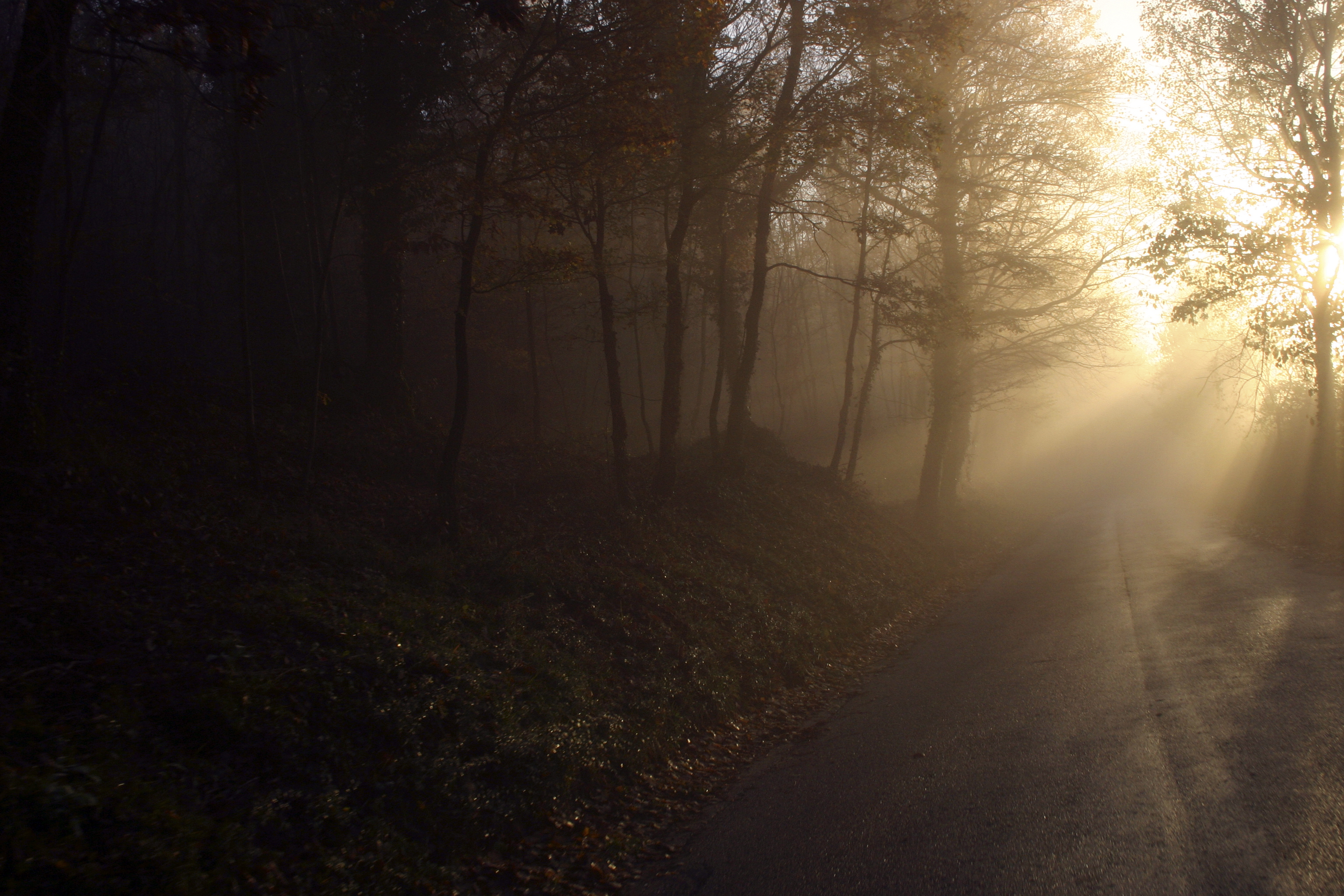 Sunlight, Corciano, Italy