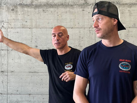 🛡️ Ton objectif n°1 : protéger ton VIP… pas combattre