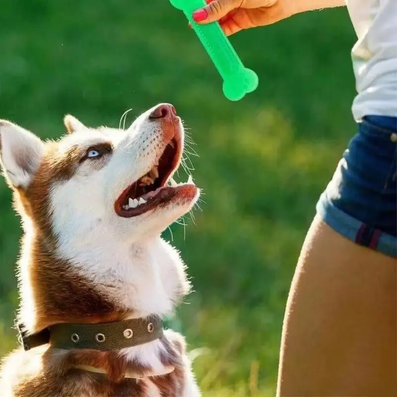 Osso para Cão Super Resistente e Limpeza Dentária