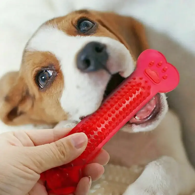 Miniatura: Osso para Cão Super Resistente e Limpeza Dentária