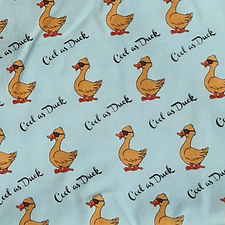 Cool as Duck.jpg
