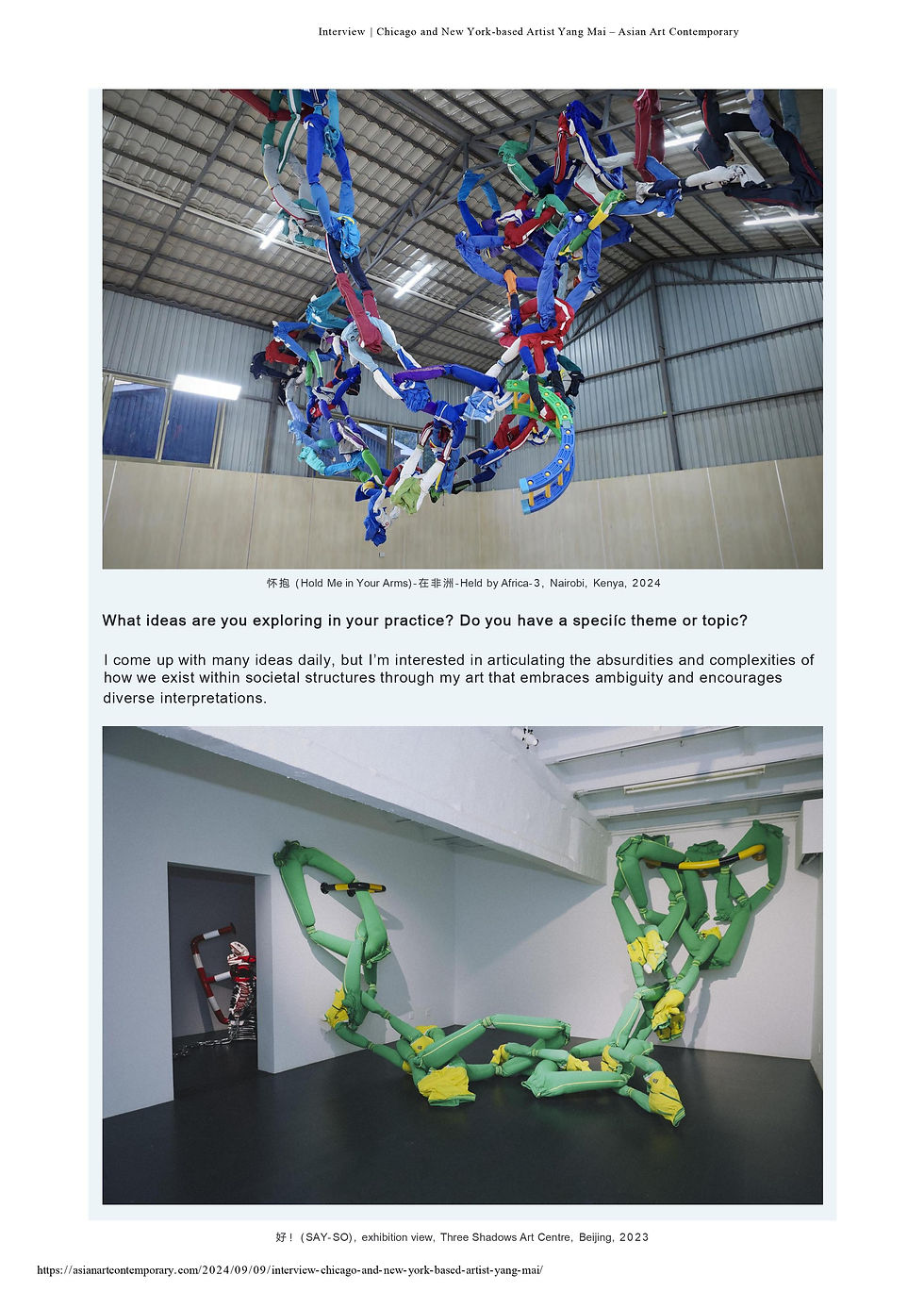 Interview _ Chicago and New York-based Artist Yang Mai – Asian Art Contemporary-images-2