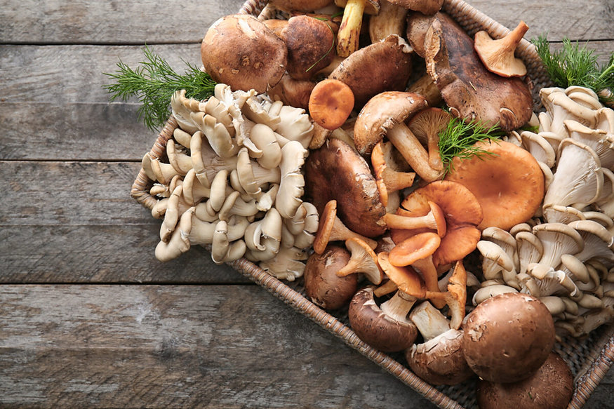 different-types-of-mushrooms-1200x800.jp