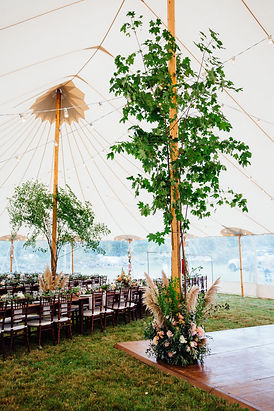 AddieRobergePhotography-091.jpg