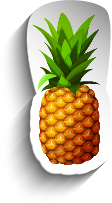 Recurso 6piña
