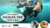 目覚めよ、本能！ WILDLIFE TRIP(魚突き) in 富山開催 🐟