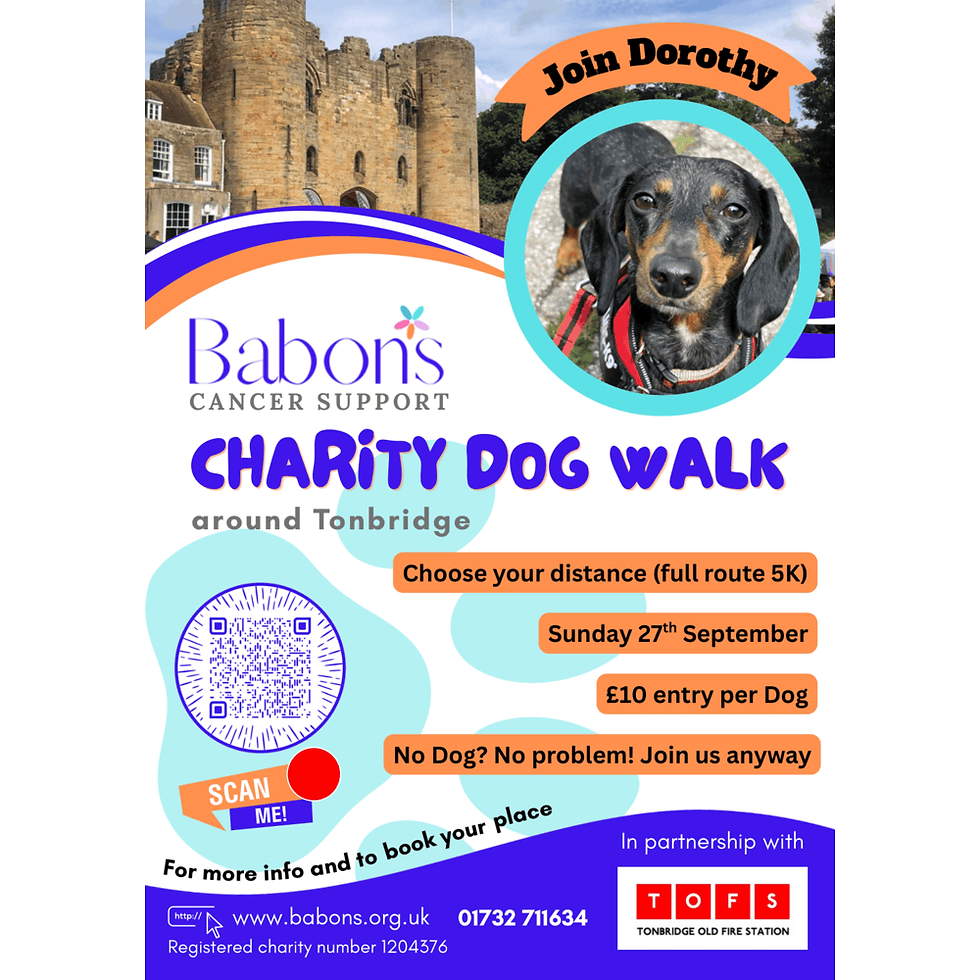 Charity Dog Walk