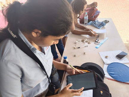 Experiencias educativas en San Andrés isla