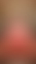 Large-Scale Hospitality and Luxury Projects: Managing Bulk Rug Orders Without Compromising Quality