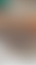 rug manufacturer from Bhadohi