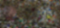 achtergrond.png