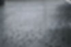 IMG_6010.jpeg