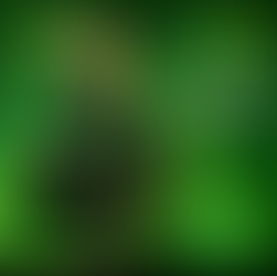 Lojas OI - BH (Fibra Optica)