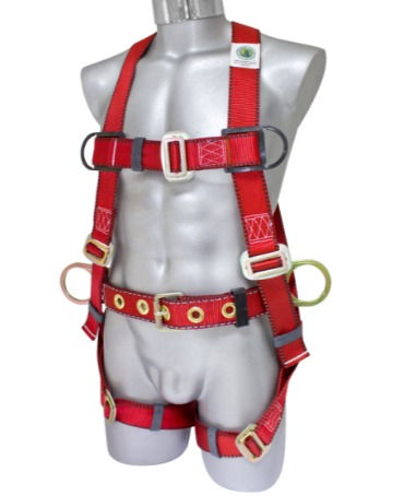 ARNES DE CUERPO DE COMPLETO