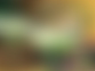 Two glasses of margaritas with salted rims in front of a large pitcher.