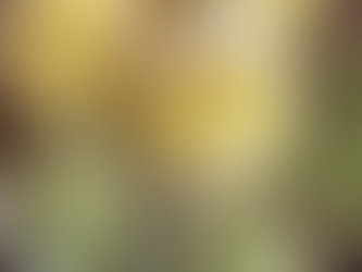 6月オンラインレッスンご案内です