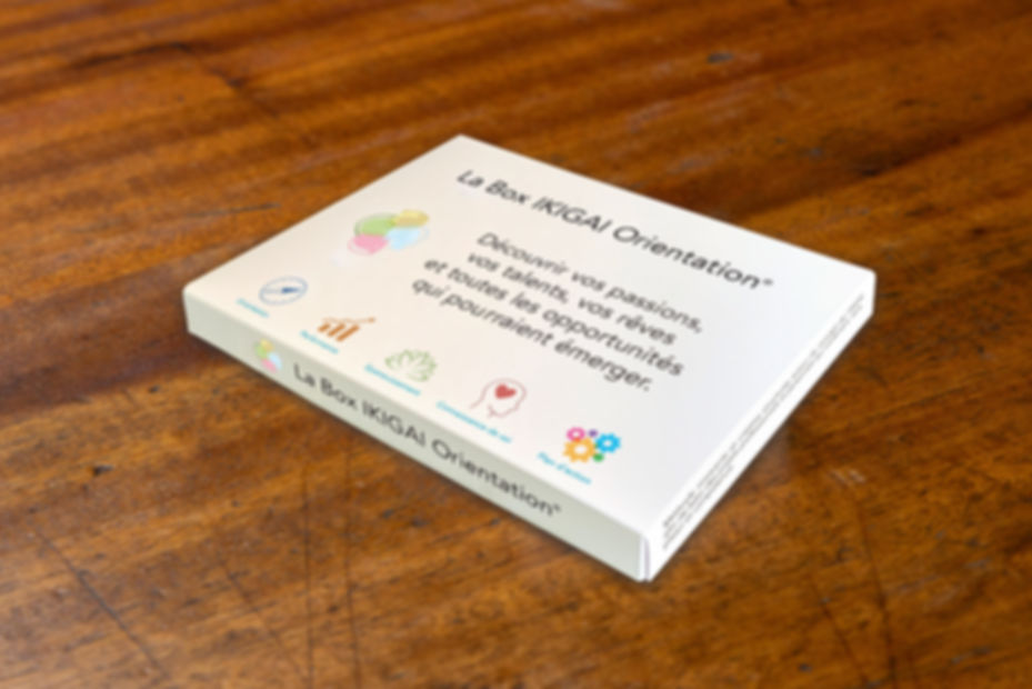 1 Box IKIGAI Orientation