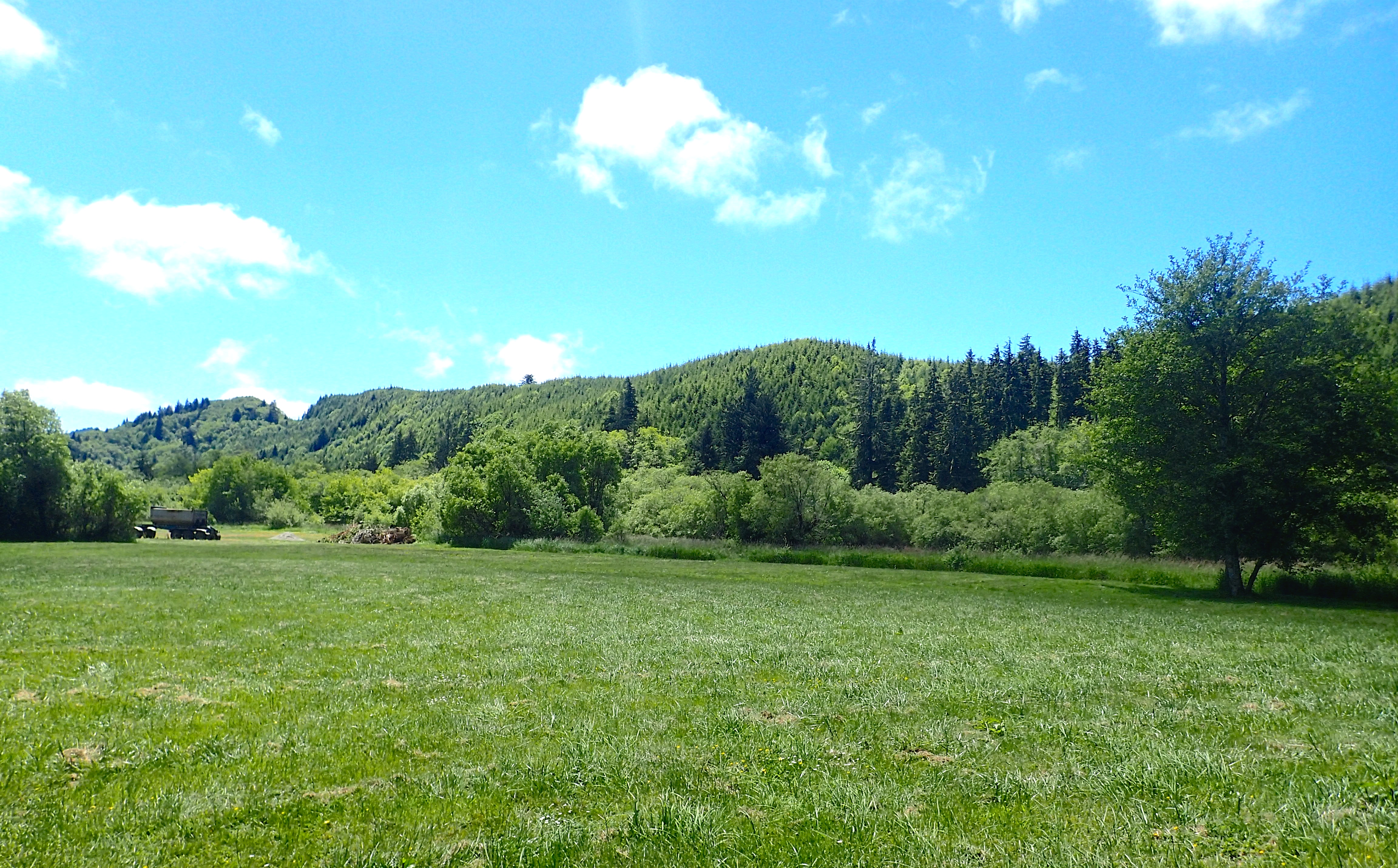 Wapiti RV Park - Photo 2