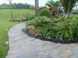 Polys work photos 041 (800x600)