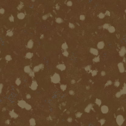 Texture Basecolor Map