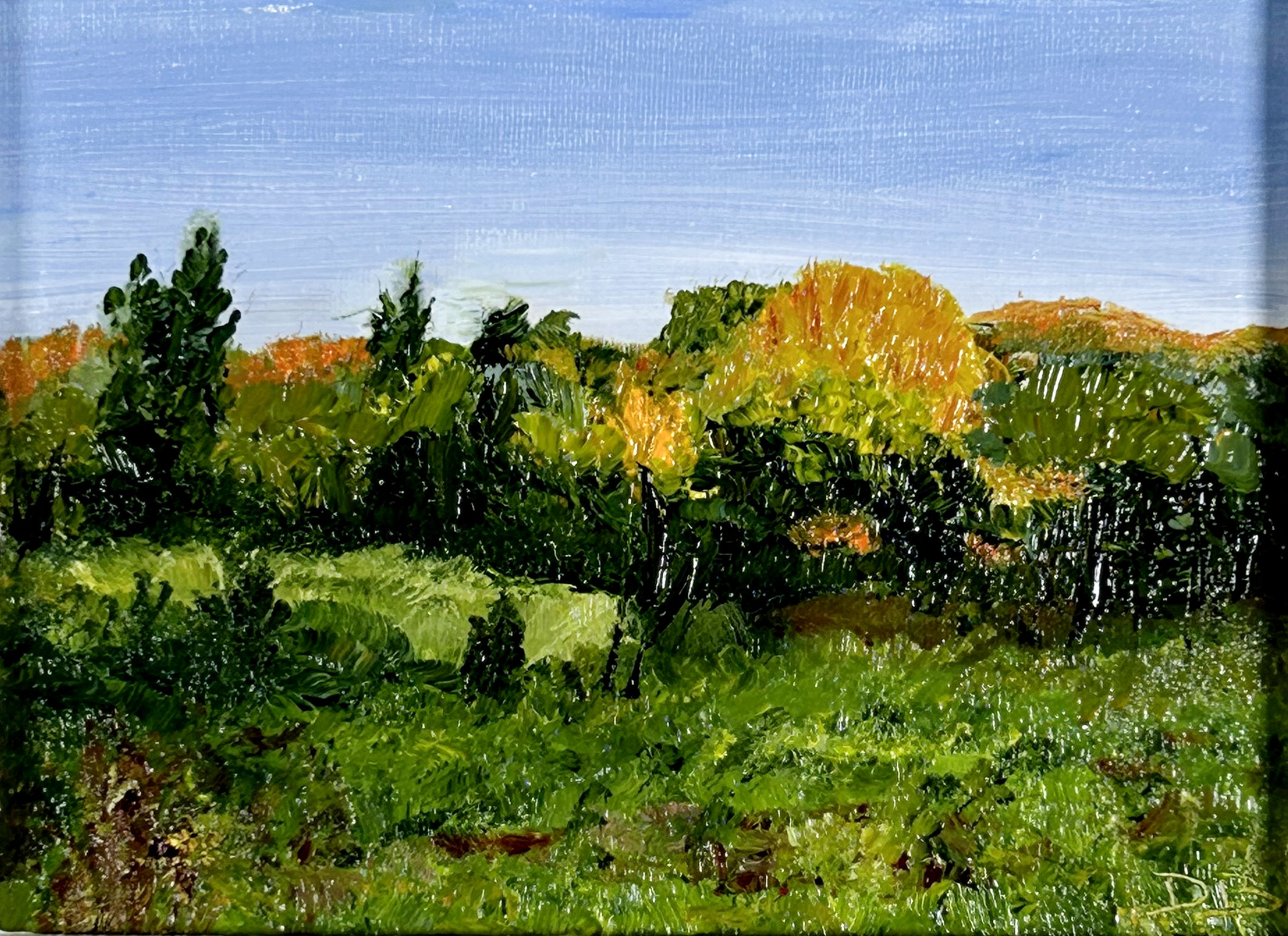 Copy of Gatineau Park P4, no 2