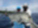 Giant Trevally.JPG