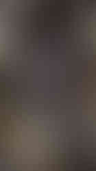 Earth Day M3723-99 Zinc Patina 912-Storm-ML