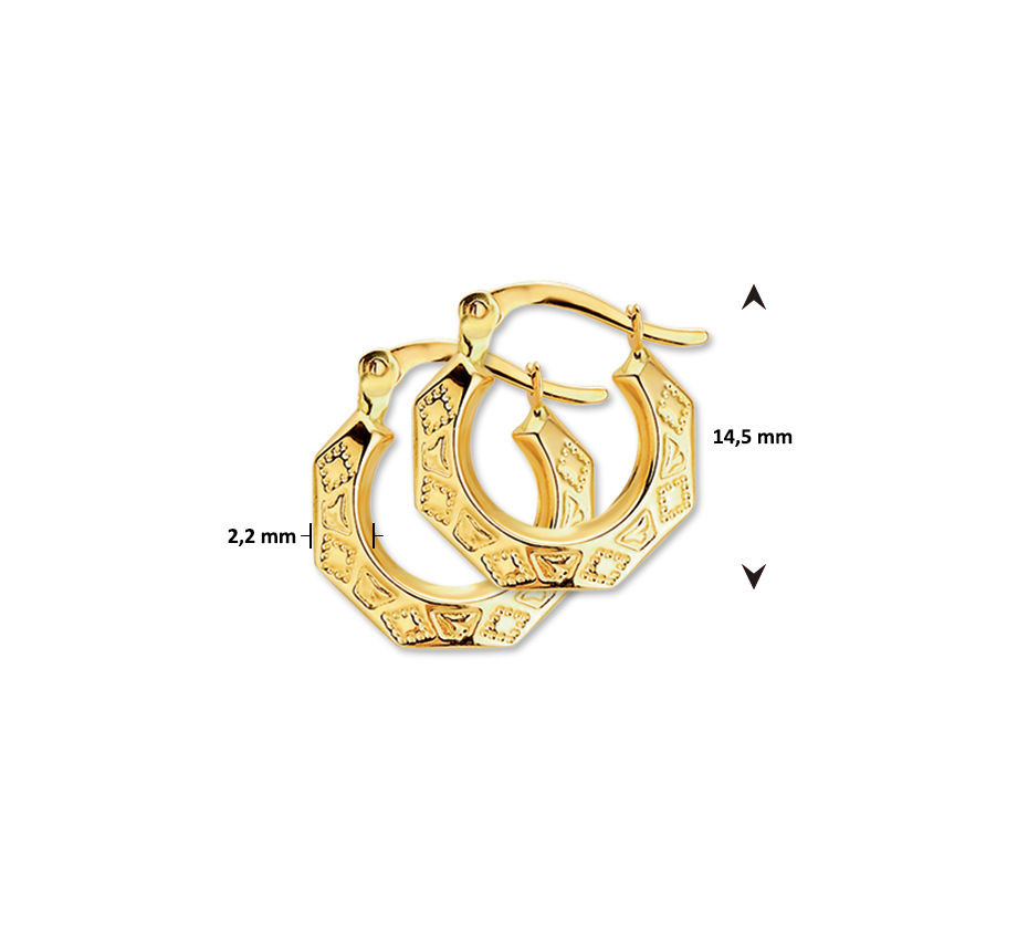 Thumbnail: Gouden Oorringen 14,5 mm Lapide