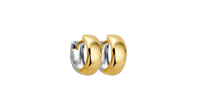 Bicolor Gouden Klapoorringen 12,5 mm