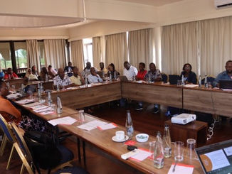 Taxing Wealth: A New Tool for Tackling Inequality in Kenya?