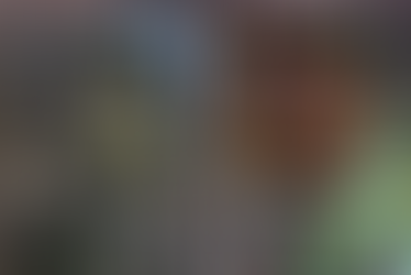 How to Combat Environmental Harms with Anti-Corruption Measures