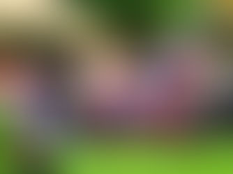 Protecting Indigenous Land Rights: Capacity Building for Maasai Leaders on Carbon Markets