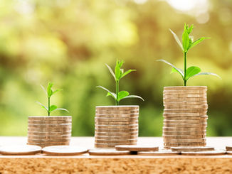 Unlocking Climate Solutions with Green Bonds: Lessons from Ghana